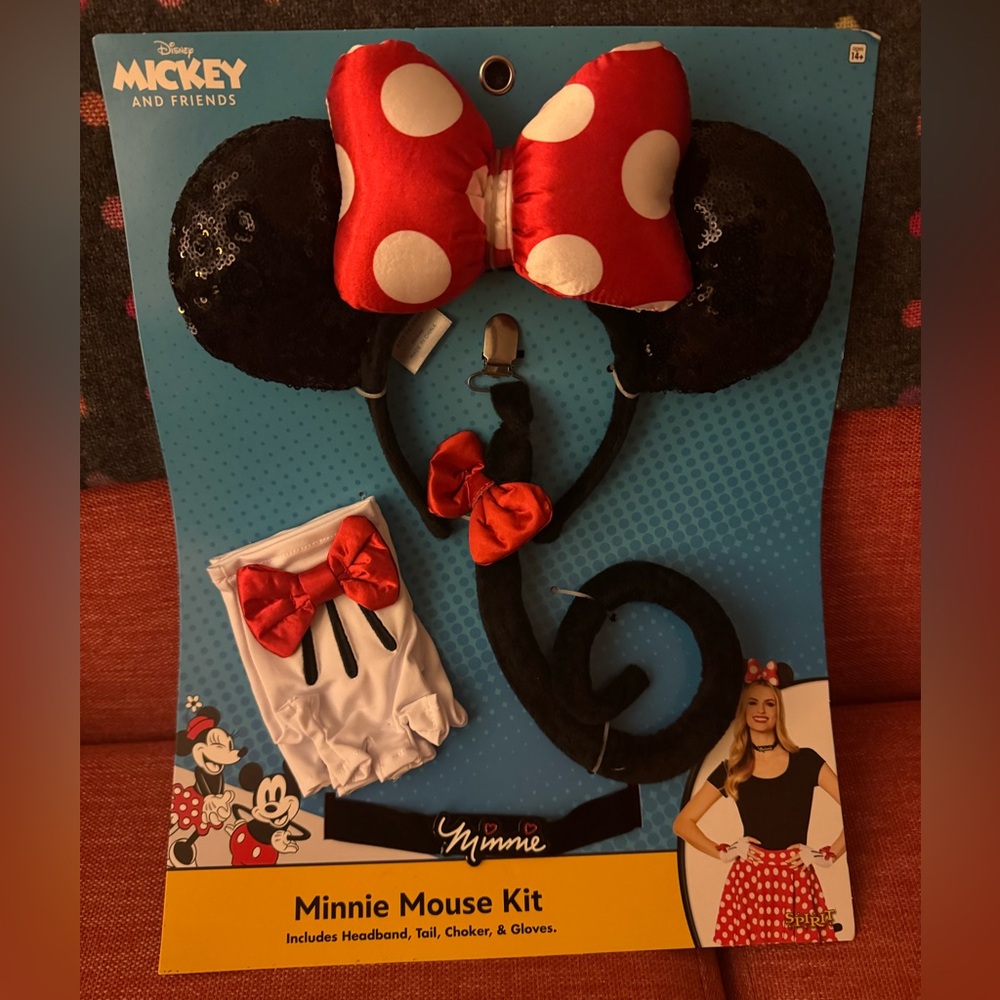 Minnie Mouse Costume Kit, One Size Fits Most, 14+